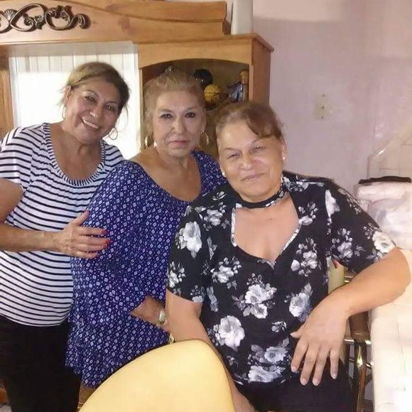 rosasantanas660